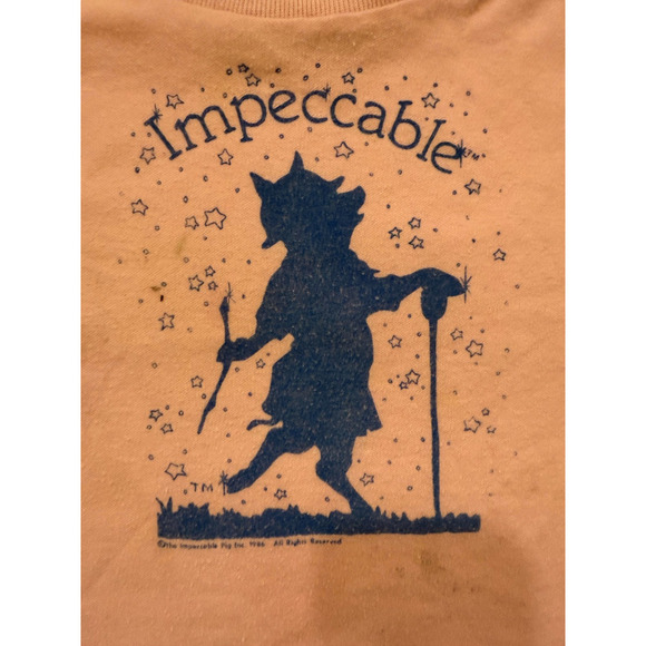 Vintage Impeccable Pig Shirt Toddler 2T Pink Blue Graphic Tee Made USA 1986 - Picture 3 of 5